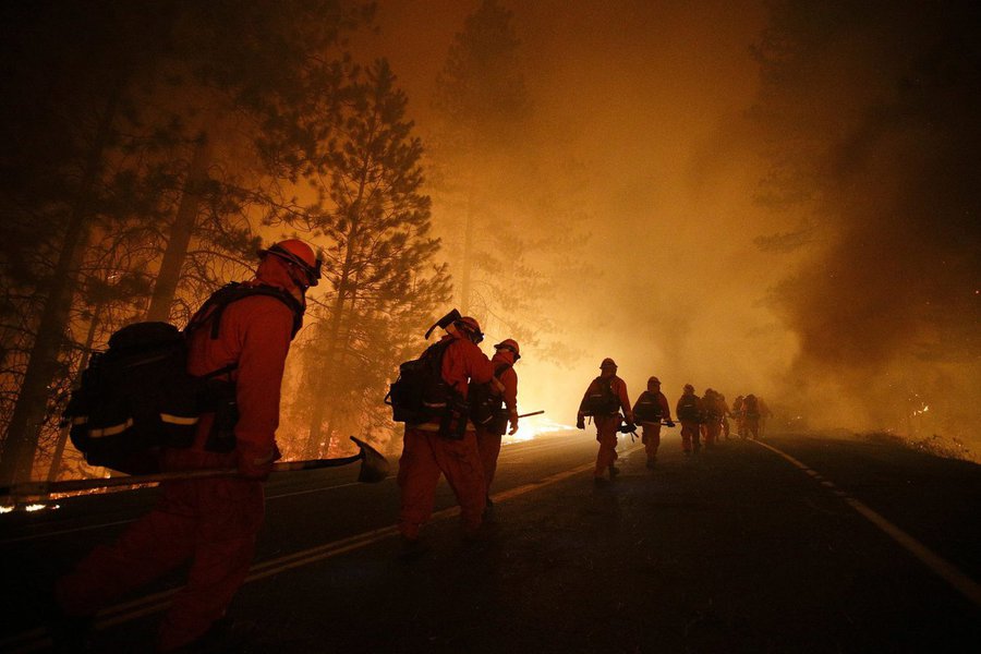 Incêndio florestal na França (Foto: Paulo Emílio) Incêndio florestal na França