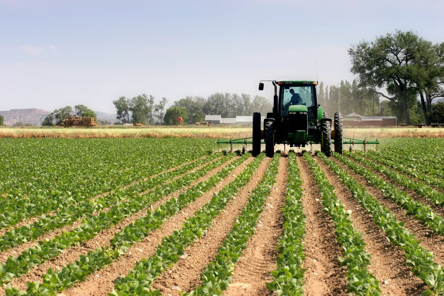farmer on his tractor plowing the field, rural wyoming (Foto: Romulo Faro) farmer on his tractor plowing the field, rural wyoming