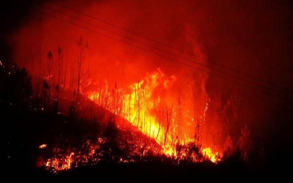 Chamas de um incêndio florestal em Carvalho, Portugal. 19/06/2017 REUTERS/Rafael Marchante (Foto: Paulo Emílio) Chamas de um incêndio florestal em Carvalho, Portugal. 19/06/2017 REUTERS/Rafael Marchante