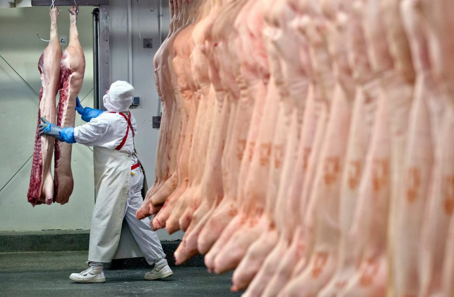 Frigorifico, carne (Foto: Danillo Bragança) Frigorifico, carne