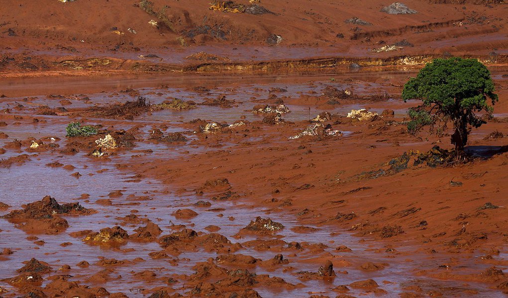 Distrito de Bento Rodrigues totalmente coberto por lama depois do rompimento da barragem do Fundão da mineradora Samarco, em Mariana (MG) 6/11/ 2015. REUTERS/Ricardo Moraes (Foto: Gisele Federicce) Distrito de Bento Rodrigues totalmente coberto por lama depois do rompimento da barragem do Fundão da mineradora Samarco, em Mariana (MG) 6/11/ 2015. REUTERS/Ricardo Moraes