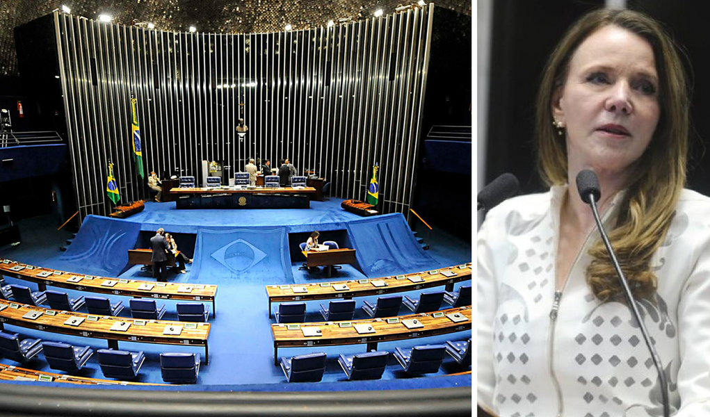Vanessa Grazziotin senado (Foto: Giuliana Miranda) Vanessa Grazziotin senado