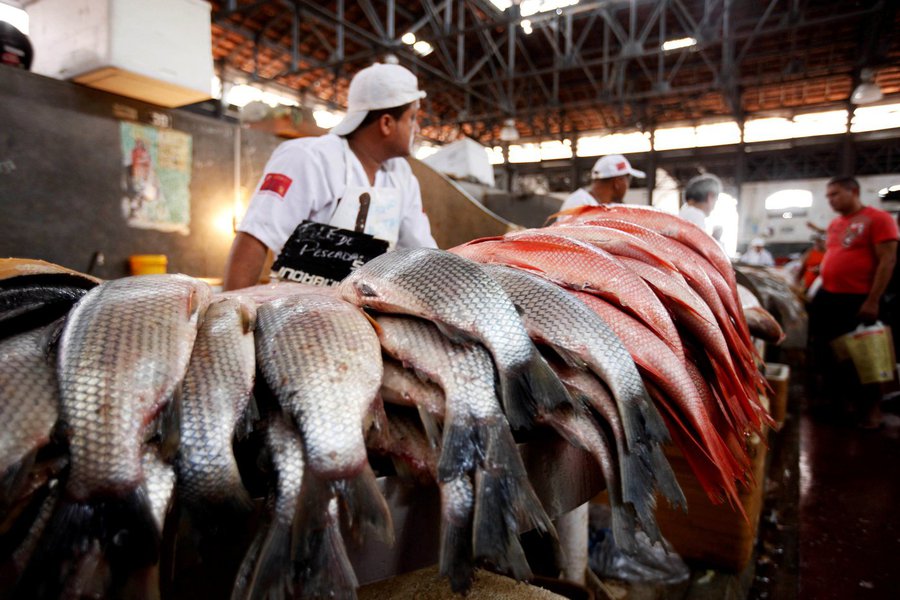 A partir desta sexta-feira, 20, está proibida a saída de pescado do Estado do Pará. Decreto, assinado pelo governador Simão Jatene, que determina a proibição foi publicado na edição de hoje do Diário Oficial do Estado e tem validade até o dia 3 de abril. (Foto: Renata Paiva) A partir desta sexta-feira, 20, está proibida a saída de pescado do Estado do Pará. Decreto, assinado pelo governador Simão Jatene, que determina a proibição foi publicado na edição de hoje do Diário Oficial do Estado e tem validade até o dia 3 de abril.