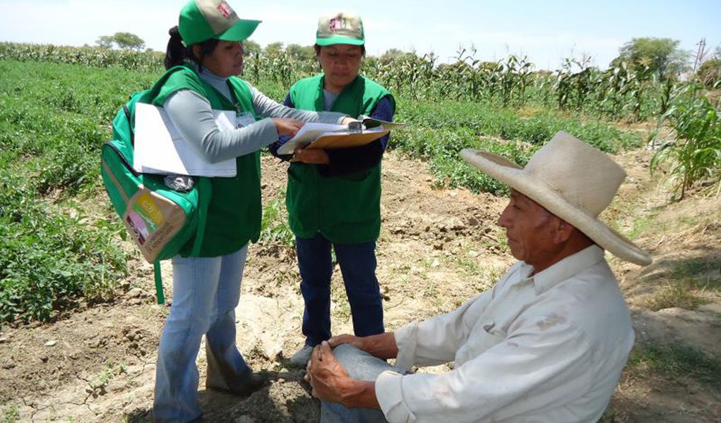 En las chacras del Bajo Piura se dio inicio al Censo nacional Agropecuario, dirigido a todos los productores. (Foto: Paulo Emílio) En las chacras del Bajo Piura se dio inicio al Censo nacional Agropecuario, dirigido a todos los productores.