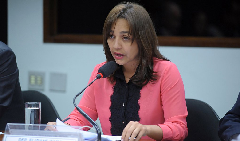 eliziane gama (Foto: Leonardo Lucena) eliziane gama