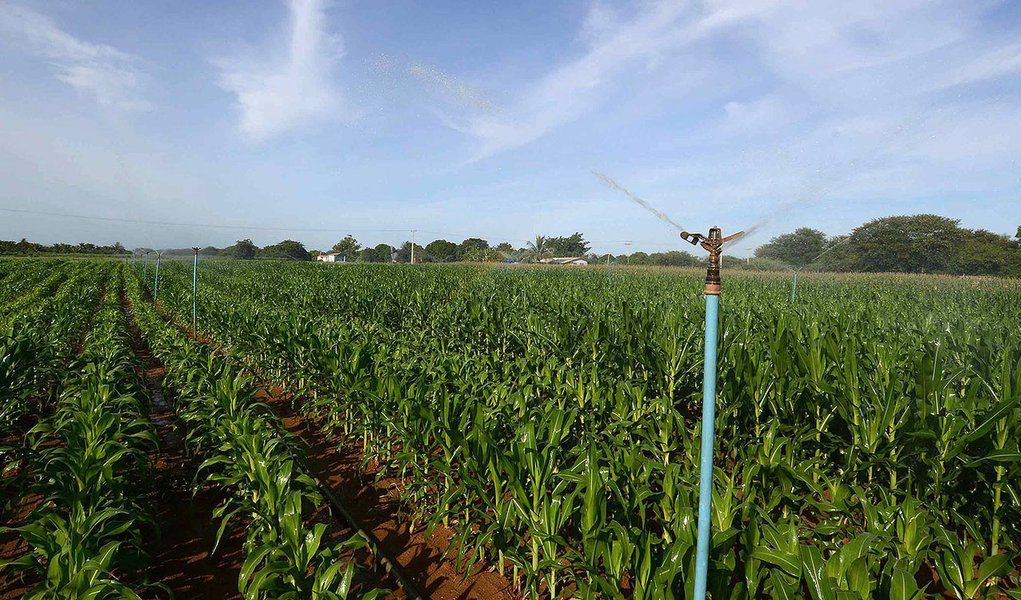 Projeto Jaiba.
Crédito: Gil Leonardi/Imprensa MG
Data: 08-02-2013 (Foto: Leonardo Lucena) Projeto Jaiba.
Crédito: Gil Leonardi/Imprensa MG
Data: 08-02-2013