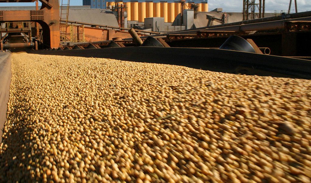 Brasil passa a liderar venda de soja para a China (Foto: Divulgação) Brasil passa a liderar venda de soja para a China