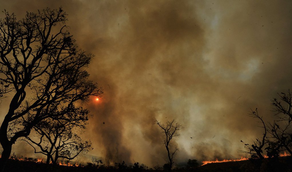 Cerrado registra 22 mil focos de incêndio em seis meses (Foto: Marcelo Casal/Agência Brasil) Cerrado registra 22 mil focos de incêndio em seis meses