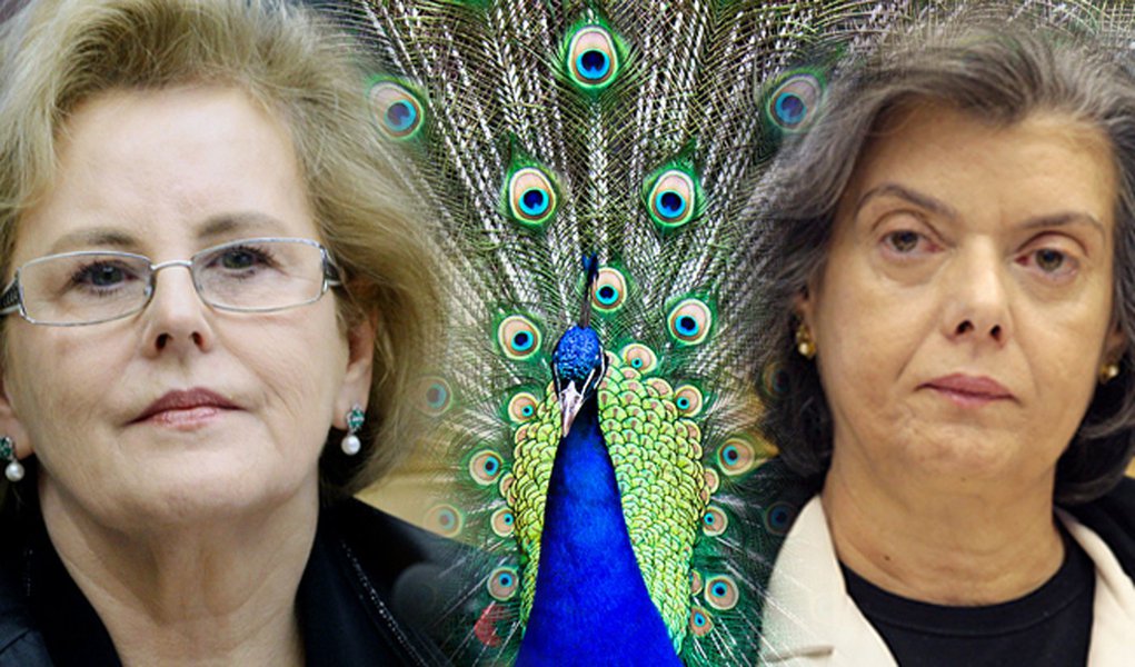 Duas ministras, entre vários pavões (Foto: Edição/247) www.brasil247.com - Duas ministras, entre vários pavões