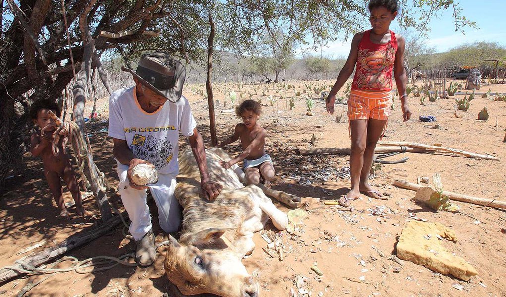 Fome sobe 6% na AL em 2016 e obesidade segue em alta, diz FAO Fome sobe 6% na AL em 2016 e obesidade segue em alta, diz FAO