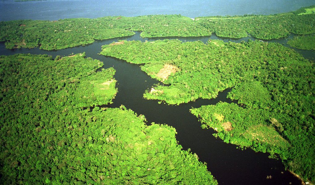 Golpe se preserva também à custa da devastação da Amazônia Golpe se preserva também à custa da devastação da Amazônia