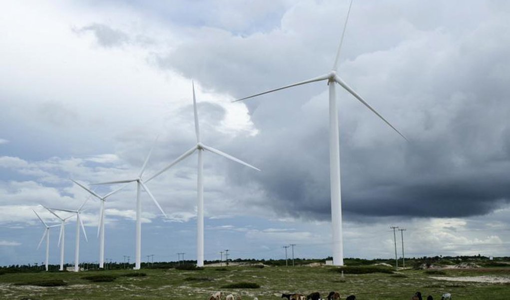 Gado pasta próximo a turbinas eólicas em Paracuru, no litoral do Ceará. O rápido leilão de reserva desta sexta-feira contratou energia de 1.505 megawatts (MW) em projetos eólicos ao preço médio de 110,51 reais por megawatt-hora (MWh), um desconto de 5,54 (Foto: Heitor Scalambrini Costa) Gado pasta próximo a turbinas eólicas em Paracuru, no litoral do Ceará. O rápido leilão de reserva desta sexta-feira contratou energia de 1.505 megawatts (MW) em projetos eólicos ao preço médio de 110,51 reais por megawatt-hora (MWh), um desconto de 5,54