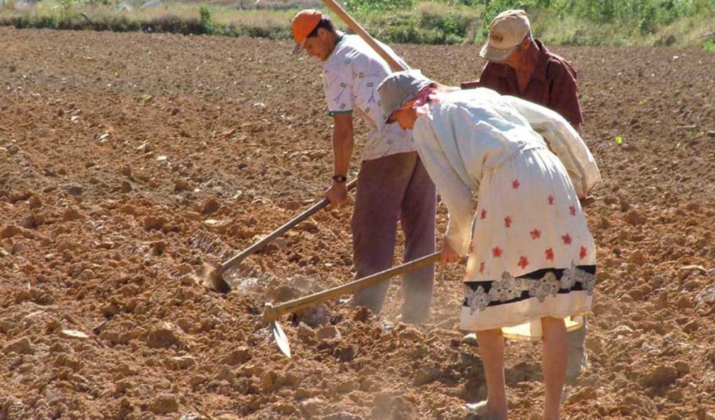 Reforma Agrária terá mais beneficiados na Bahia (Foto: Divulgação) Reforma Agrária terá mais beneficiados na Bahia