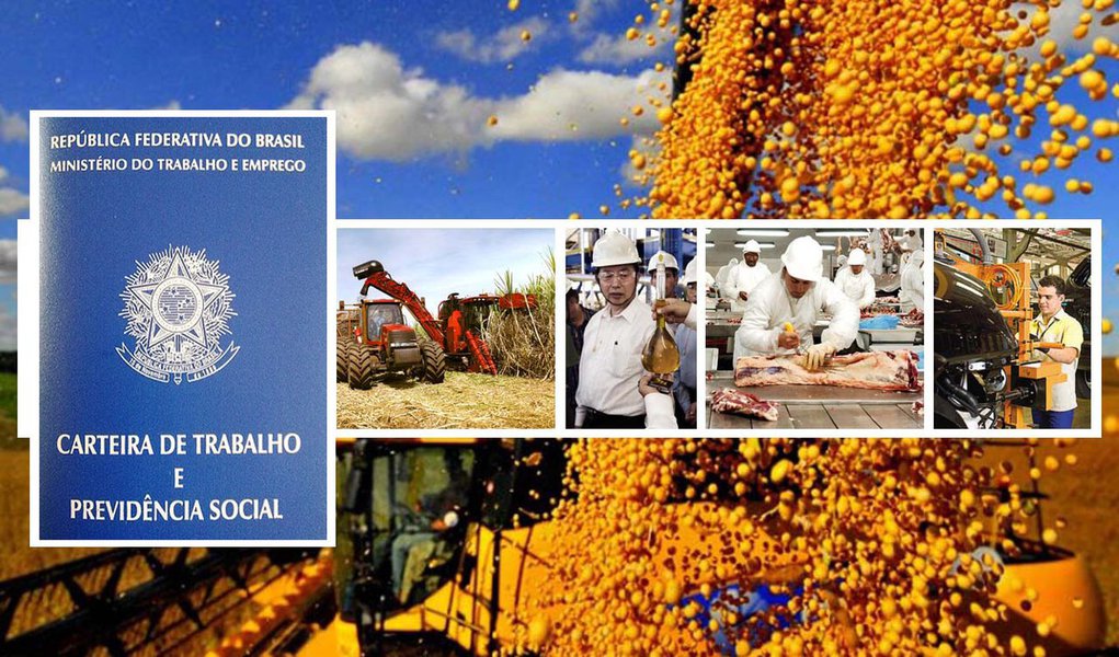 industria goias (Foto: José Barbacena) industria goias