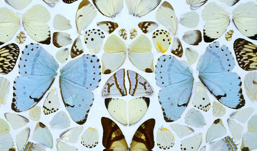 Mostra de Damien Hirst tem morte, fetiche e souvenir de R$ 100 mil (Foto: Divulgação/Tate Modern) Mostra de Damien Hirst tem morte, fetiche e souvenir de R$ 100 mil