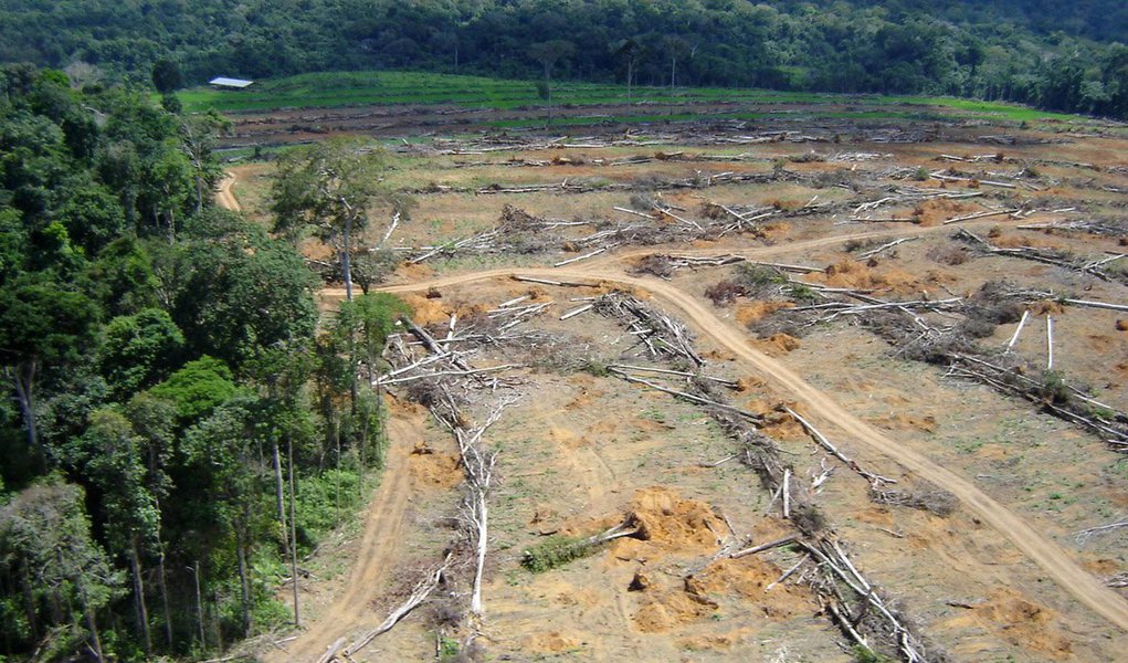 Senado terá comissão para manter aprovação do Código Florestal (Foto: Divulgação) Senado terá comissão para manter aprovação do Código Florestal