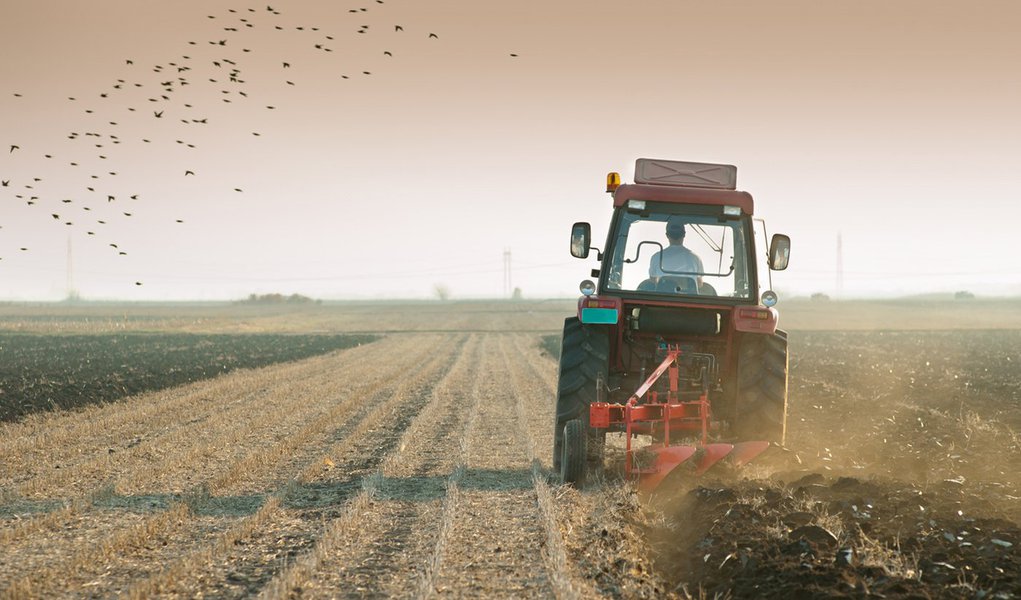 Agricultores nordestinos na mira da tecnologia (Foto: Shutterstock) Agricultores nordestinos na mira da tecnologia