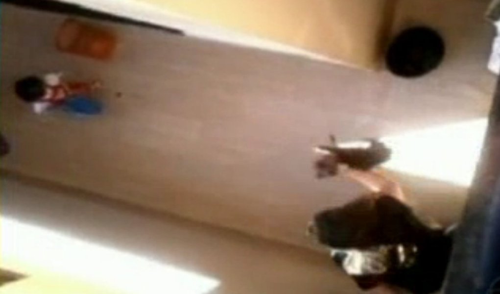 Justiça de Goiás denuncia agressora de yorkshire (Foto: Reprodução) Justiça de Goiás denuncia agressora de yorkshire