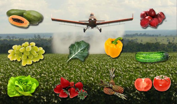 Ranking do agrotóxico vai do pimentão ao tomate (Foto: Felipe L. Gonçalves/Edição/247) Ranking do agrotóxico vai do pimentão ao tomate