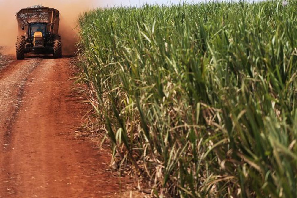 Trator carrega cana de açúcar em plantanção em Ribeirão Preto, São Paulo, Brasil 15/09/2016 REUTERS/Nacho Doce (Foto: Voney Malta) Trator carrega cana de açúcar em plantanção em Ribeirão Preto, São Paulo, Brasil 15/09/2016 REUTERS/Nacho Doce