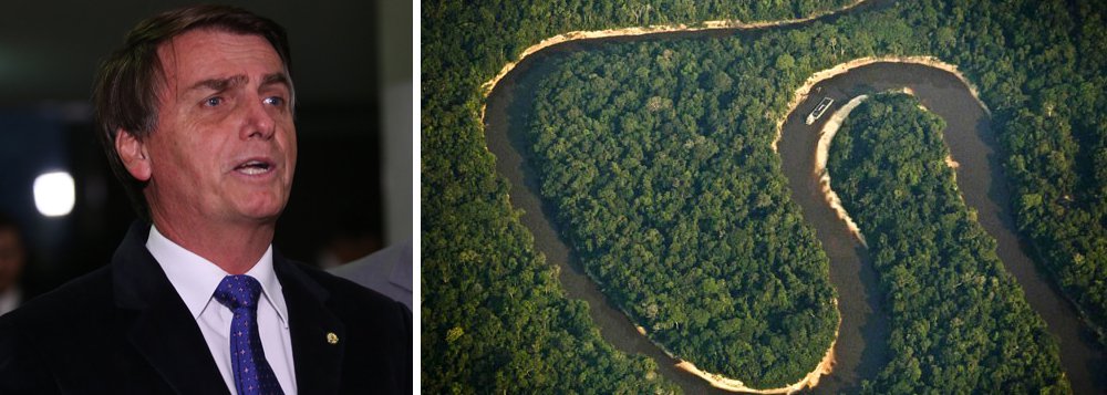 bolsonaro amazonia (Foto: Gisele Federicce) bolsonaro amazonia
