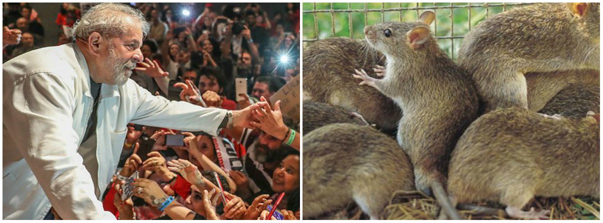 O povo tem um antídoto, todo cidadão brasileiro tem um remédio imediato. Lula livre. Lula vivo contra a peste. No Brasil invadido, somos todos caça-ratos (Foto: Urariano Mota) O povo tem um antídoto, todo cidadão brasileiro tem um remédio imediato. Lula livre. Lula vivo contra a peste. No Brasil invadido, somos todos caça-ratos