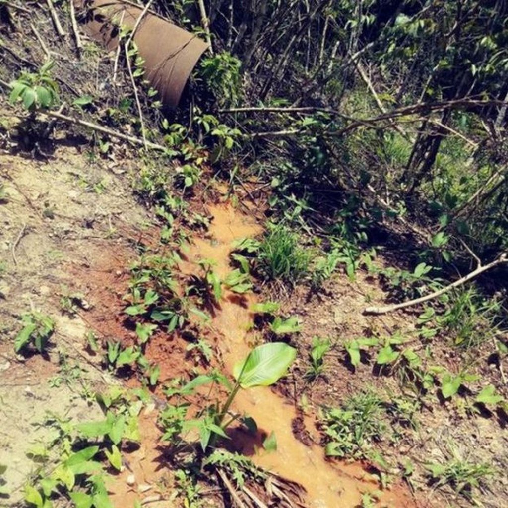 A PGR e o MP-PA decidiram criar uma força-tarefa para acompanhar os danos ambientais causados pela empresa Hydro Alunorte no município de Barcarena (PA); os principais objetivos da força-tarefa são investigar os danos e promover a responsabilidade dos seus agentes, promover a indenização das vítimas e a reparação dos danos, além de analisar os impactos sociais e ambientais decorrentes de vazamento de resíduos e rejeitos químicos de atividades desenvolvidas pela empresa Hydro Alunorte
(Foto: Leonardo Lucena)
A PGR e o MP-PA decidiram criar uma força-tarefa para acompanhar os danos ambientais causados pela empresa Hydro Alunorte no município de Barcarena (PA); os principais objetivos da força-tarefa são investigar os danos e promover a responsabilidade dos seus agentes, promover a indenização das vítimas e a reparação dos danos, além de analisar os impactos sociais e ambientais decorrentes de vazamento de resíduos e rejeitos químicos de atividades desenvolvidas pela empresa Hydro Alunorte