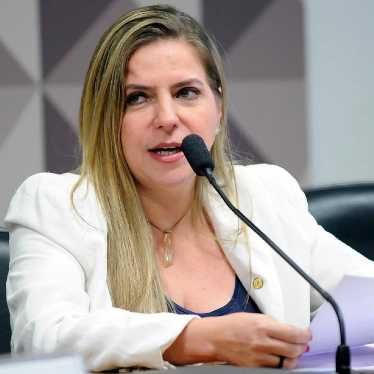 Manifestando o sentimento coletivo de indignação e revolta dos apoiadores do ex-presidente Luis Inácio Lula da Silva com a decisão de ontem do Supremo Tribunal Federal (STF), que negou o Habeas Corpus a Lula e abriu caminho para a decretação de sua prisão, a deputada federal Luizanne Lins (PT-CE) criticou o resultado do julgamento. "Justiça não é perseguição política! Passaram por cima da Constituição" (Foto: Fatima 247) Manifestando o sentimento coletivo de indignação e revolta dos apoiadores do ex-presidente Luis Inácio Lula da Silva com a decisão de ontem do Supremo Tribunal Federal (STF), que negou o Habeas Corpus a Lula e abriu caminho para a decretação de sua prisão, a deputada federal Luizanne Lins (PT-CE) criticou o resultado do julgamento. "Justiça não é perseguição política! Passaram por cima da Constituição"