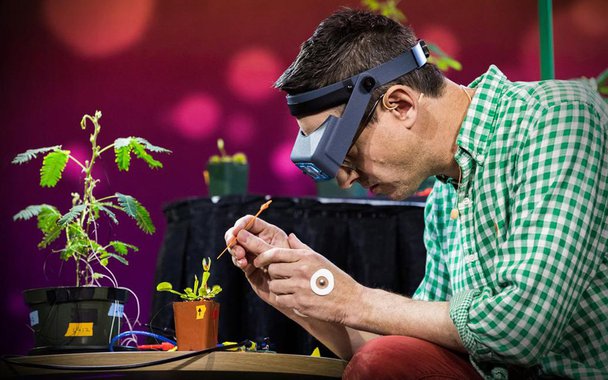 O neurocientista Greg Gage utiliza equipamentos sofisticados para estudar as capacidades sensoriais e inteligentes das plantas. Prepare-se para ficar maravilhado com a forma como ele conecta uma dormideira, uma planta cujas folhas murcham quando são tocadas, e uma vênus-papa-moscas em um ECG para nos mostrar como as plantas usam sinais elétricos para transmitir informações, ativar movimentos e até contar. (Foto: Luis Pellegrini) O neurocientista Greg Gage utiliza equipamentos sofisticados para estudar as capacidades sensoriais e inteligentes das plantas. Prepare-se para ficar maravilhado com a forma como ele conecta uma dormideira, uma planta cujas folhas murcham quando são tocadas, e uma vênus-papa-moscas em um ECG para nos mostrar como as plantas usam sinais elétricos para transmitir informações, ativar movimentos e até contar.