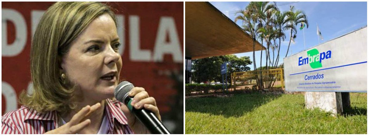 A direção da Empresa Brasileira de Pesquisa Agropecuária (Embrapa) demitiu o servidor e sindicalista Vicente Almeida. O engenheiro agrônomo e pesquisador em impactos ambientais teria sofrido cerceamento do exercício funcional em suas pesquisas científicas, além de ser perseguido e assediado moralmente pela direção da empresa; a presidente do PT, senadora Gleisi Hoffmann (PR), divulgou nota em apoio ao servidor; "Repudiamos com veemência a demissão de Vicente Almeida, uma vez que foi de forma arbitrária, injusta, sem amplo direito a defesa e ao exercício do contraditório" (Foto: Leonardo Lucena) A direção da Empresa Brasileira de Pesquisa Agropecuária (Embrapa) demitiu o servidor e sindicalista Vicente Almeida. O engenheiro agrônomo e pesquisador em impactos ambientais teria sofrido cerceamento do exercício funcional em suas pesquisas científicas, além de ser perseguido e assediado moralmente pela direção da empresa; a presidente do PT, senadora Gleisi Hoffmann (PR), divulgou nota em apoio ao servidor; "Repudiamos com veemência a demissão de Vicente Almeida, uma vez que foi de forma arbitrária, injusta, sem amplo direito a defesa e ao exercício do contraditório"