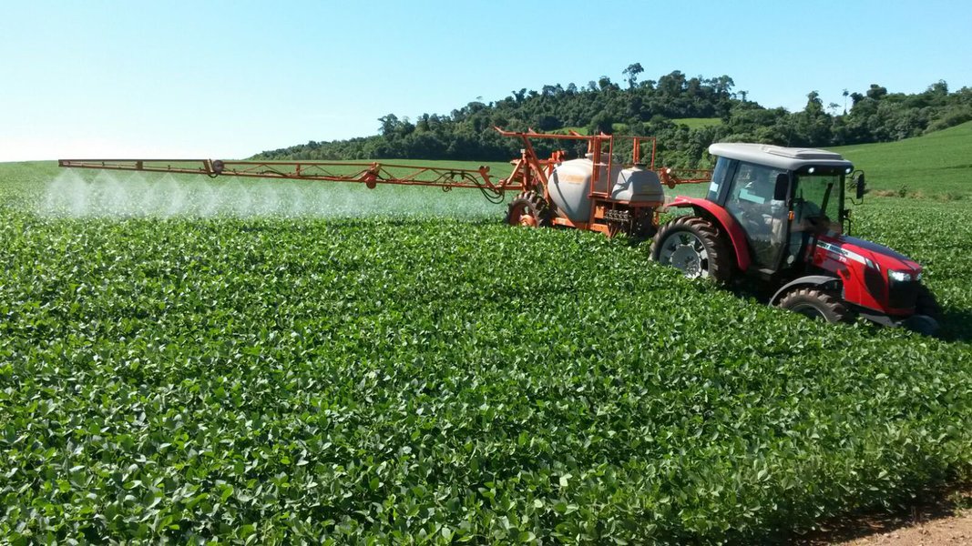 agrotóxicos (Foto: Gustavo Conde) agrotóxicos