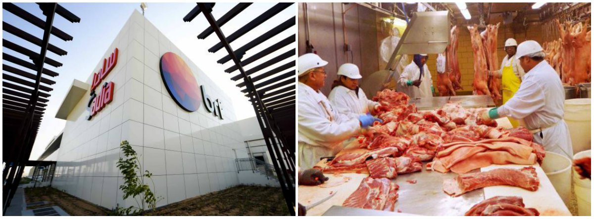 Quatro fábricas da BRF fraudaram laudos sobre a presença da bactéria salmonela em alimentos a fim de garantir a exportação de seus produtos, de acordo com investigação de nova fase da Operação Carne Fraca; são três fábricas para consumo humano e uma que produz ração: de Carambeí (PR) e de Rio Verde (GO), que produzem frango; de Mineiros (GO), que produz peru; e de Chapecó (SC), que fabrica ração; segundo a Operação Carne Fraca, foi apontada fraude nos laudos emitidos para exportação a 12 países que exigem requisitos sanitários específicos de controle da bactéria do tipo salmonela spp (Foto: Leonardo Lucena) Quatro fábricas da BRF fraudaram laudos sobre a presença da bactéria salmonela em alimentos a fim de garantir a exportação de seus produtos, de acordo com investigação de nova fase da Operação Carne Fraca; são três fábricas para consumo humano e uma que produz ração: de Carambeí (PR) e de Rio Verde (GO), que produzem frango; de Mineiros (GO), que produz peru; e de Chapecó (SC), que fabrica ração; segundo a Operação Carne Fraca, foi apontada fraude nos laudos emitidos para exportação a 12 países que exigem requisitos sanitários específicos de controle da bactéria do tipo salmonela spp