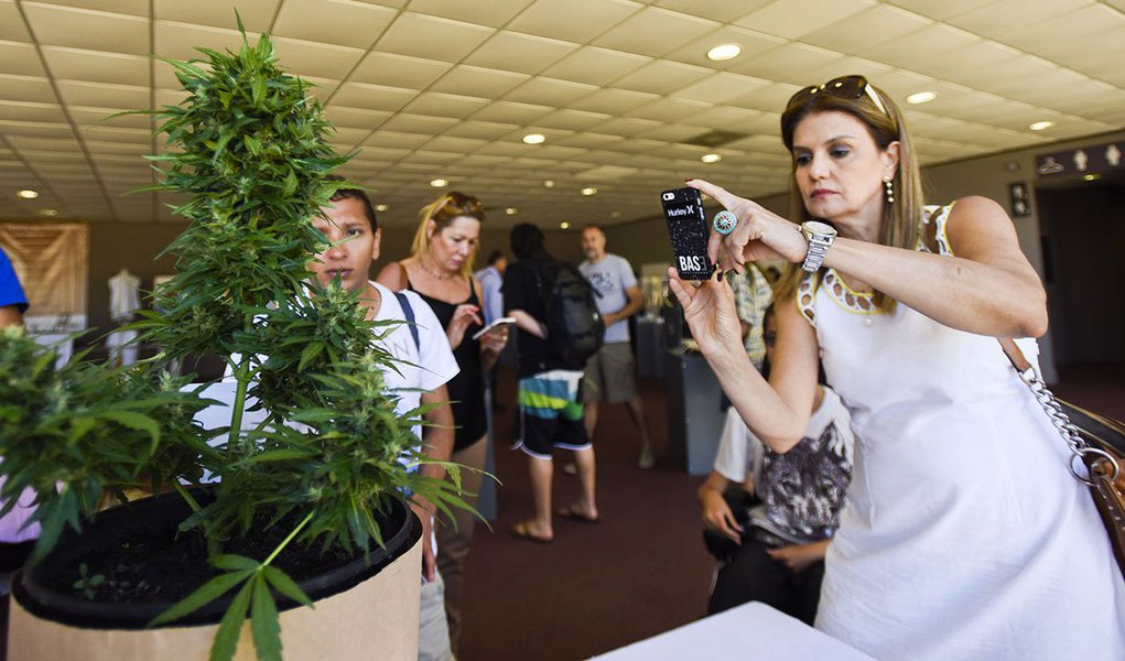 Nos dias 12 e 13 de janeiro o famoso balneário uruguaio receberá pela primeira vez a Cannabis Conference, um evento internacional sobre as novidades da cannabis e suas aplicações na medicina, tecnologia, inovação e indústria; o evento nasce a partir da necessidade de mais informação relevada na última edição de sucesso da Expocannabis Uruguay (8, 9 e 10 de dezembro de 2017) e se apresenta com uma proposta de grande qualidade para turistas e uruguaios interessados no tema (Foto: Aquiles Lins) Nos dias 12 e 13 de janeiro o famoso balneário uruguaio receberá pela primeira vez a Cannabis Conference, um evento internacional sobre as novidades da cannabis e suas aplicações na medicina, tecnologia, inovação e indústria; o evento nasce a partir da necessidade de mais informação relevada na última edição de sucesso da Expocannabis Uruguay (8, 9 e 10 de dezembro de 2017) e se apresenta com uma proposta de grande qualidade para turistas e uruguaios interessados no tema