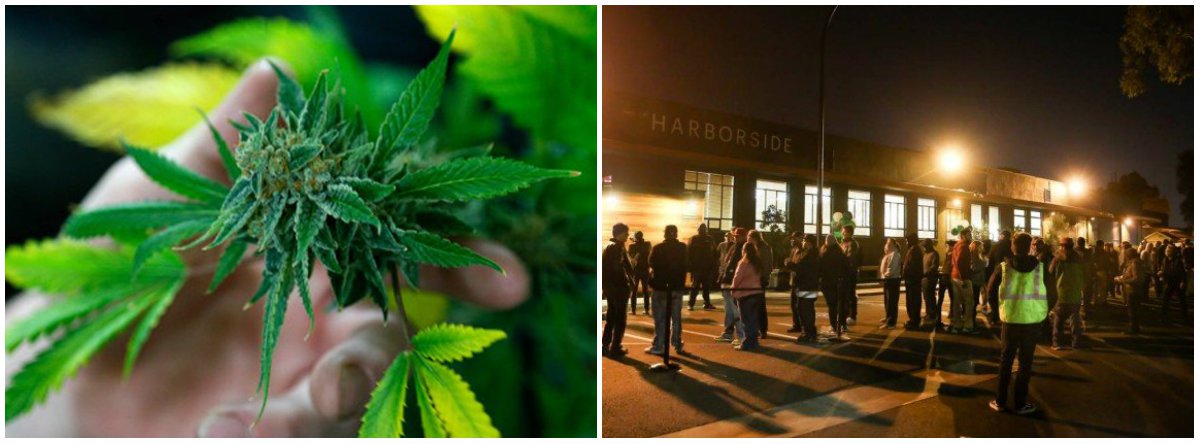 O consumo de maconha é legalizado a partir deste 1º de janeiro de 2018 na Califórnia e americanos fizeram fila para adquirir o produto; californianos podem ter posse de até 28 gramas e plantar até seis pés de maconha; Estado, que já liberava o uso medicinal da cannabis, passa a ser o maior mercado legal do mundo da erva, com previsão de arrecadação de US$ 1 bilhão por ano em impostos (Foto: Gisele Federicce) O consumo de maconha é legalizado a partir deste 1º de janeiro de 2018 na Califórnia e americanos fizeram fila para adquirir o produto; californianos podem ter posse de até 28 gramas e plantar até seis pés de maconha; Estado, que já liberava o uso medicinal da cannabis, passa a ser o maior mercado legal do mundo da erva, com previsão de arrecadação de US$ 1 bilhão por ano em impostos