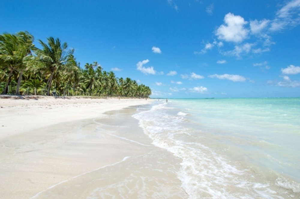 Segundo a pesquisa Travelers Choice 2018, da TripAvisor, a praia de Antunes, em Maragogi, ficou em 9º lugar no ranking; Milagres, em São Miguel dos Milagres, em 12º lugar e o Gunga, em Roteiro, em 16º na classificação; levantamento é feito com base no relato da experiência dos usuários do site que visitam o local e avaliam critérios como as características do lugar, limpeza da água, facilidade de acesso, satisfação dos clientes e rede de bares, restaurantes e hotéis (Foto: Voney Malta) Segundo a pesquisa Travelers Choice 2018, da TripAvisor, a praia de Antunes, em Maragogi, ficou em 9º lugar no ranking; Milagres, em São Miguel dos Milagres, em 12º lugar e o Gunga, em Roteiro, em 16º na classificação; levantamento é feito com base no relato da experiência dos usuários do site que visitam o local e avaliam critérios como as características do lugar, limpeza da água, facilidade de acesso, satisfação dos clientes e rede de bares, restaurantes e hotéis