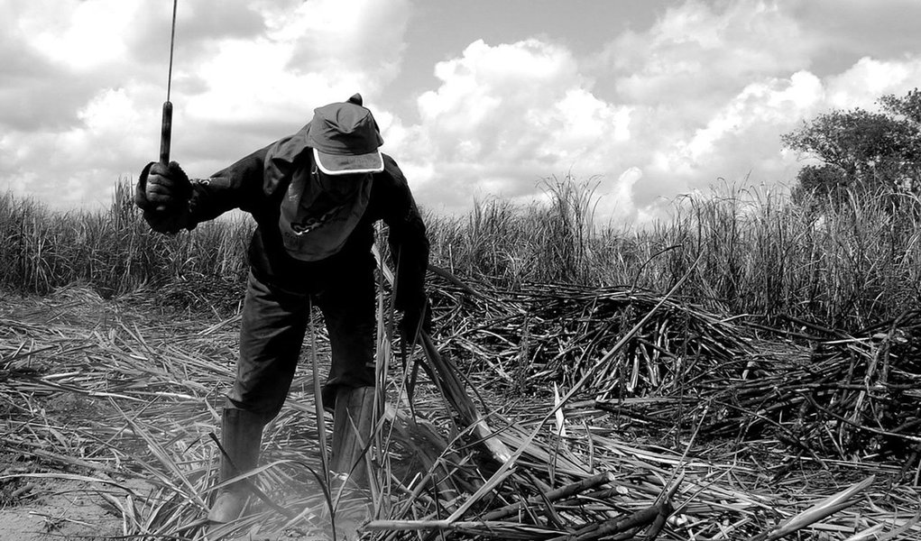 Informações da Agência Estadual de Planejamento e Pesquisas (Condepe/Fidem) apontam que o PIB de Pernambuco acumula uma alta de 2,1% nos nove primeiros meses deste ano, acima do nacional (0,6%); o estado projeta um crescimento de 2,3% este ano, enquanto o mercado projeta um crescimento de no máximo 1% para a economia brasileira em 2017; a agropecuária foi um principal setor responsável pelo crescimento do PIB estadual, com alta 16,1%; o setor cresceu 20,1% no terceiro trimestre deste ano, período em que o setor de serviços teve um incremento de 2,2%; o setor cresceu 20,1% no terceiro trimestre deste ano, período em que o setor de serviços teve um incremento de 2,2%, e a indústria caiu mais 4,8% no terceiro trimestre (Foto: Leonardo Lucena) Informações da Agência Estadual de Planejamento e Pesquisas (Condepe/Fidem) apontam que o PIB de Pernambuco acumula uma alta de 2,1% nos nove primeiros meses deste ano, acima do nacional (0,6%); o estado projeta um crescimento de 2,3% este ano, enquanto o mercado projeta um crescimento de no máximo 1% para a economia brasileira em 2017; a agropecuária foi um principal setor responsável pelo crescimento do PIB estadual, com alta 16,1%; o setor cresceu 20,1% no terceiro trimestre deste ano, período em que o setor de serviços teve um incremento de 2,2%; o setor cresceu 20,1% no terceiro trimestre deste ano, período em que o setor de serviços teve um incremento de 2,2%, e a indústria caiu mais 4,8% no terceiro trimestre