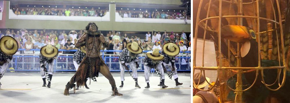 A escola de samba Paraíso de Tuiuti, que denunciou na Sapucaí o golpe e mostrou Michel Temer como vampiro, também pôs um tucano dentro de uma gaiola, algo que não acontece na vida real; a foto publicada no Twitter pela internauta Anna Lú (Foto: Leonardo Lucena) A escola de samba Paraíso de Tuiuti, que denunciou na Sapucaí o golpe e mostrou Michel Temer como vampiro, também pôs um tucano dentro de uma gaiola, algo que não acontece na vida real; a foto publicada no Twitter pela internauta Anna Lú