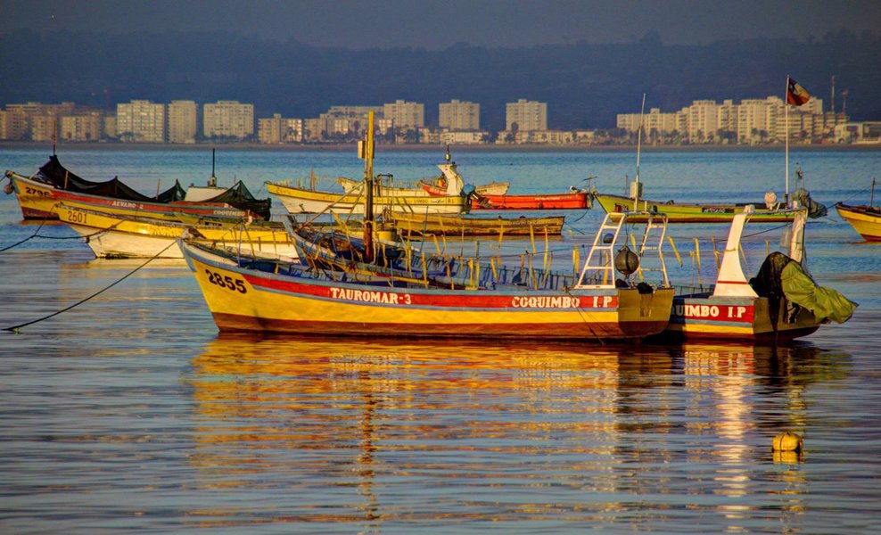 Representantes do setor da Pesca no Ceará irão a Brasília, na próxima semana, defender a revogação ou alteração da Portaria nº 78, de 29 de dezembro de 2017, que normatiza a pesca em águas continentais do Nordeste, que pode acabar com o seguro-defeso. O secretário da Agricultura, Pesca e Aquicultura do Ceará, Euvaldo Bringel, criticou a medida do Planalto. “Quando o pescador fica sem pescar três meses, ele tem uma indenização. No momento que libera o pescador para pescar, acaba o seguro-defeso. Eles vão dizer que tem alternativa de pesca, mas ela não existe”, explicou (Foto: Rodrigo Rocha) Representantes do setor da Pesca no Ceará irão a Brasília, na próxima semana, defender a revogação ou alteração da Portaria nº 78, de 29 de dezembro de 2017, que normatiza a pesca em águas continentais do Nordeste, que pode acabar com o seguro-defeso. O secretário da Agricultura, Pesca e Aquicultura do Ceará, Euvaldo Bringel, criticou a medida do Planalto. “Quando o pescador fica sem pescar três meses, ele tem uma indenização. No momento que libera o pescador para pescar, acaba o seguro-defeso. Eles vão dizer que tem alternativa de pesca, mas ela não existe”, explicou