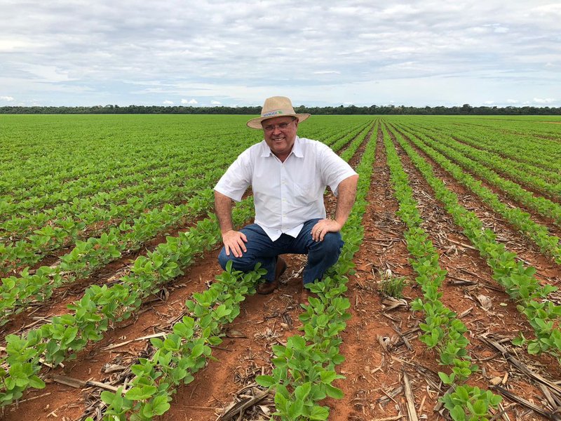 O ministro da Agricultura, Blairo Maggi, arrematou a fazenda Itamarati Norte por R$ 2,2 bilhões dos herdeiros de Olacyr de Moraes; com 105 mil hectares, a propriedade se tornou um símbolo do desenvolvimento de Mato Grosso e do potencial agrícola do Centro-Oeste brasileiro; dentro da propriedade, além de 11 pistas para pousos e decolagens, hangar e dezenas de silos, há uma vila que abriga centenas de funcionários da unidade (Foto: Romulo Faro) O ministro da Agricultura, Blairo Maggi, arrematou a fazenda Itamarati Norte por R$ 2,2 bilhões dos herdeiros de Olacyr de Moraes; com 105 mil hectares, a propriedade se tornou um símbolo do desenvolvimento de Mato Grosso e do potencial agrícola do Centro-Oeste brasileiro; dentro da propriedade, além de 11 pistas para pousos e decolagens, hangar e dezenas de silos, há uma vila que abriga centenas de funcionários da unidade