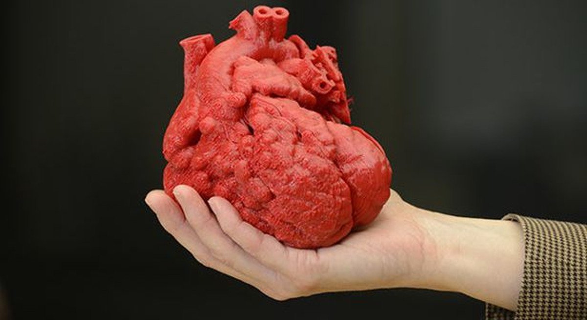 Esse é um sinal de esperança para mais de 70 mil pessoas que aguardam um órgão; médico formado pela USP, Gabriel Liguori, teve o coração operado aos 2 anos e agora quer criar um coração em 3D até 2030 (Foto: Charles Nisz) Esse é um sinal de esperança para mais de 70 mil pessoas que aguardam um órgão; médico formado pela USP, Gabriel Liguori, teve o coração operado aos 2 anos e agora quer criar um coração em 3D até 2030
