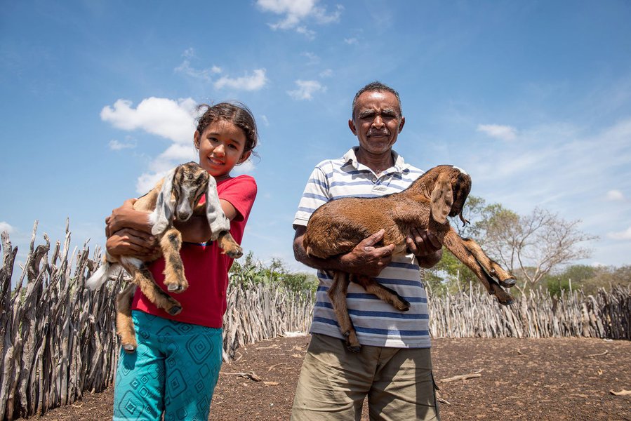 Inclusão socioprodutiva e acesso a mercados para mais de 17 mil famílias de agricultores baianos; este é o resultado do primeiro ciclo de investimento do projeto Bahia Produtiva, executado pela Companhia de Desenvolvimento e Ação Regional (CAR), empresa pública vinculada à Secretaria de Desenvolvimento Rural (SDR); no total, já foram aplicados R$ 163,7 milhões, contemplando 502 ações para agricultura familiar, nos 27 Territórios de Identidade do estado (Foto: Romulo Faro) Inclusão socioprodutiva e acesso a mercados para mais de 17 mil famílias de agricultores baianos; este é o resultado do primeiro ciclo de investimento do projeto Bahia Produtiva, executado pela Companhia de Desenvolvimento e Ação Regional (CAR), empresa pública vinculada à Secretaria de Desenvolvimento Rural (SDR); no total, já foram aplicados R$ 163,7 milhões, contemplando 502 ações para agricultura familiar, nos 27 Territórios de Identidade do estado