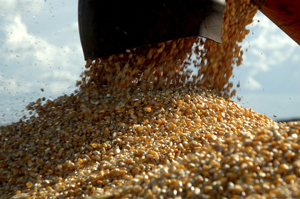 A Fundação João Pinheiro (FJP) divulgou dados referentes à produção agrícola, rebanhos e produtos de origem animal de Minas Gerais entre os anos 2010 e 2017; disponibilizadas na plataforma FJP Dados, as informações também contemplam a evolução recente dos valores exportados pela agropecuária e pela indústria alimentar mineira no período; as exportações de produtos agropecuários de Minas Gerais, em valores (US$ FOB), aumentaram 5,6% entre janeiro e setembro se comparadas ao mesmo período de 2016, enquanto as exportações de produtos da indústria alimentar tiveram crescimento de 22,4% na mesma base de comparação (Foto: Leonardo Lucena) A Fundação João Pinheiro (FJP) divulgou dados referentes à produção agrícola, rebanhos e produtos de origem animal de Minas Gerais entre os anos 2010 e 2017; disponibilizadas na plataforma FJP Dados, as informações também contemplam a evolução recente dos valores exportados pela agropecuária e pela indústria alimentar mineira no período; as exportações de produtos agropecuários de Minas Gerais, em valores (US$ FOB), aumentaram 5,6% entre janeiro e setembro se comparadas ao mesmo período de 2016, enquanto as exportações de produtos da indústria alimentar tiveram crescimento de 22,4% na mesma base de comparação