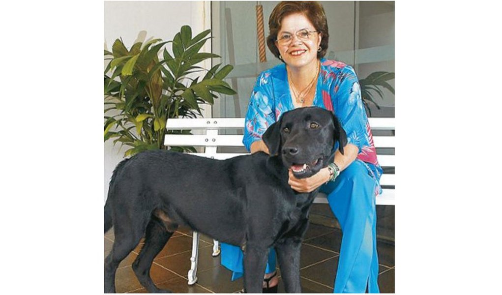 Jornalista Fernando Brito diz que é inacreditável que a presidente deposta Dilma Rousseff tenha de publicar uma nota esclarecendo a morte de seu animal de estimação, um cachorro labrador de 12 anos de idade; "É a este ponto que chegou o Estado Policial no Brasil. Criminalizar, por conveniência política, um gesto doloroso que dezenas de milhares de pessoas já tiveram de autorizar para seu animal de estimação. Aqui, a Justiça não se entregou ao autoritarismo. Entregou-se também ao ridículo", diz Brito (Foto: Aquiles Lins) Jornalista Fernando Brito diz que é inacreditável que a presidente deposta Dilma Rousseff tenha de publicar uma nota esclarecendo a morte de seu animal de estimação, um cachorro labrador de 12 anos de idade; "É a este ponto que chegou o Estado Policial no Brasil. Criminalizar, por conveniência política, um gesto doloroso que dezenas de milhares de pessoas já tiveram de autorizar para seu animal de estimação. Aqui, a Justiça não se entregou ao autoritarismo. Entregou-se também ao ridículo", diz Brito