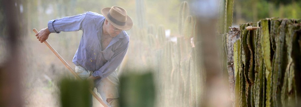 Agricultores familiares dos 168 municípios que compõem a área mineira da Sudene têm até o próximo dia 30 de setembro para fazer adesão ao programa; nessa mesma data, encerra-se o prazo para que as prefeituras municipais manifestem interesse em participar do seguro; o Garantia Safra é um programa federal que funciona como seguro pago a agricultores familiares com perdas de mais de 50% da safra devido à seca ou excesso hídrico (Foto: Leonardo Lucena) Agricultores familiares dos 168 municípios que compõem a área mineira da Sudene têm até o próximo dia 30 de setembro para fazer adesão ao programa; nessa mesma data, encerra-se o prazo para que as prefeituras municipais manifestem interesse em participar do seguro; o Garantia Safra é um programa federal que funciona como seguro pago a agricultores familiares com perdas de mais de 50% da safra devido à seca ou excesso hídrico