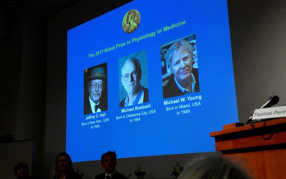 Cientistas norte-americanos Jeffrey Hall, Michael Rosbash e Michael Young receberam o prêmio Nobel de Medicina de 2017 por suas descobertas de mecanismos moleculares que controlam nossos relógios biológicos; mecanismos ajudam a explicar, por exemplo, por que pessoas que viajam longas distâncias ao longo de vários fusos horários costumam sofrer de jet lag, e têm implicações mais abrangentes para a saúde, como o risco maior de ter certas doenças (Foto: Paulo Emílio) Cientistas norte-americanos Jeffrey Hall, Michael Rosbash e Michael Young receberam o prêmio Nobel de Medicina de 2017 por suas descobertas de mecanismos moleculares que controlam nossos relógios biológicos; mecanismos ajudam a explicar, por exemplo, por que pessoas que viajam longas distâncias ao longo de vários fusos horários costumam sofrer de jet lag, e têm implicações mais abrangentes para a saúde, como o risco maior de ter certas doenças