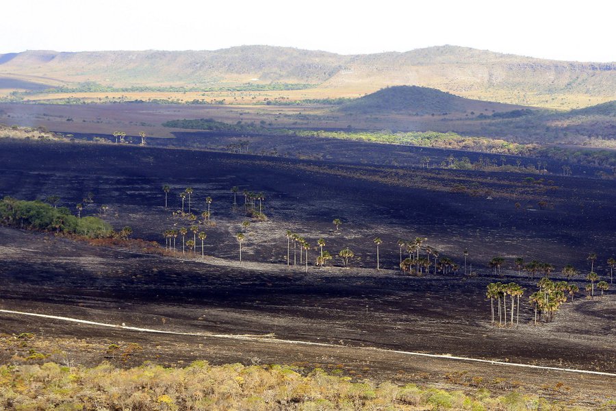 Diante de informações de que o incêndio na Chapada dos Veadeiros, em Goiás, é criminoso, o Ministério Público Federal (MPF) em Luziânia (GO) cobrou esclarecimentos da Polícia Federal, do Parque Nacional da Chapada dos Veadeiros e do município de Alto Paraíso de Goiás; eles terão prazo de cinco dias para encaminhar informações ao MPF relacionadas ao incêndio; as informações serão prestadas no inquérito civil para apurar as causas ou o que contribuiu para o início ou avanço do incêndio de grandes proporções que ocorre no Parque Nacional, instaurado ontem (26) (Foto: Romulo Faro) Diante de informações de que o incêndio na Chapada dos Veadeiros, em Goiás, é criminoso, o Ministério Público Federal (MPF) em Luziânia (GO) cobrou esclarecimentos da Polícia Federal, do Parque Nacional da Chapada dos Veadeiros e do município de Alto Paraíso de Goiás; eles terão prazo de cinco dias para encaminhar informações ao MPF relacionadas ao incêndio; as informações serão prestadas no inquérito civil para apurar as causas ou o que contribuiu para o início ou avanço do incêndio de grandes proporções que ocorre no Parque Nacional, instaurado ontem (26)