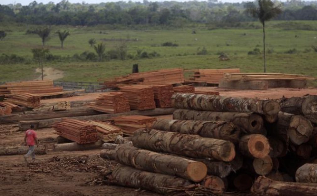 Polícia Federal deflagrou, nesta quarta-feira, operação para desarticular associação criminosa suspeita de coordenar extração ilegal de madeiras nobres dentro de terra indígena no Pará, responsável por dano ambiental estimado em quase R$ 900 milhões; cerca de 40 policiais cumprem 10 mandados de condução coercitiva, 11 de sequestro de bens e valores e 6 de busca e apreensão em oito cidades nos estados do Pará, Santa Catarina e Paraná como parte da chamada operação Anhangá Arara (Foto: José Barbacena) Polícia Federal deflagrou, nesta quarta-feira, operação para desarticular associação criminosa suspeita de coordenar extração ilegal de madeiras nobres dentro de terra indígena no Pará, responsável por dano ambiental estimado em quase R$ 900 milhões; cerca de 40 policiais cumprem 10 mandados de condução coercitiva, 11 de sequestro de bens e valores e 6 de busca e apreensão em oito cidades nos estados do Pará, Santa Catarina e Paraná como parte da chamada operação Anhangá Arara