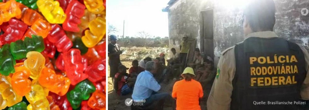 Após denúncias de que sua unidade no Brasil utiliza matéria-prima proveniente de trabalhadores em condições análogas à escravidão, a Haribo, uma das maiores fabricantes de doces e balas da Alemanha, anunciou que irá investigar as acusações contra seus fornecedores no país; de acordo com uma rede de televisão da Alemanha, os trabalhadores não possuem roupa de proteção adequada, dormem ao relento ou em contêineres, além de não terem acesso a água filtrada ou banheiros; "As condições em plantações brasileiras são insuportáveis", disse a Haribo em um comunicado (Foto: Paulo Emílio) Após denúncias de que sua unidade no Brasil utiliza matéria-prima proveniente de trabalhadores em condições análogas à escravidão, a Haribo, uma das maiores fabricantes de doces e balas da Alemanha, anunciou que irá investigar as acusações contra seus fornecedores no país; de acordo com uma rede de televisão da Alemanha, os trabalhadores não possuem roupa de proteção adequada, dormem ao relento ou em contêineres, além de não terem acesso a água filtrada ou banheiros; "As condições em plantações brasileiras são insuportáveis", disse a Haribo em um comunicado