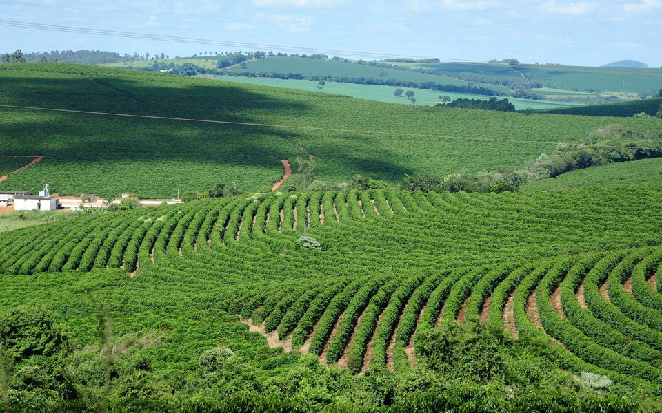 As exportações totalizaram US$ 5,3 bilhões no período de janeiro a agosto deste ano; o segmento contribuiu com 31% do total da pauta mineira de exportações no período; o café, principal produto da pauta de exportações do agronegócio, representou 41,4% do valor exportado; os dados foram analisados pela Secretaria de Agricultura, Pecuária e Abastecimento (Seapa) com base nas informações do Ministério de Desenvolvimento
(Foto: Leonardo Lucena) As exportações totalizaram US$ 5,3 bilhões no período de janeiro a agosto deste ano; o segmento contribuiu com 31% do total da pauta mineira de exportações no período; o café, principal produto da pauta de exportações do agronegócio, representou 41,4% do valor exportado; os dados foram analisados pela Secretaria de Agricultura, Pecuária e Abastecimento (Seapa) com base nas informações do Ministério de Desenvolvimento