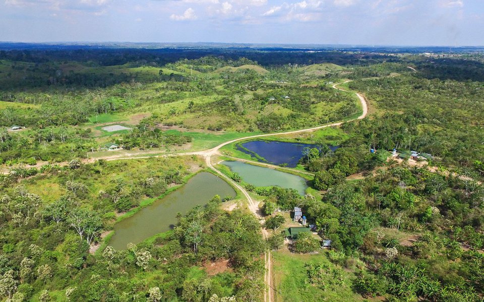 Portaria do Ministério da Justiça reconhece como território tradicional indígena uma área de aproximadamente 1,2 milhão de hectares localizada nos municípios de Barcelos e Santa Isabel do Rio Negro, no Amazonas; com a publicação da Portaria 783, a Terra Indígena Jurubaxi-Téa (anteriormente denominada Baixo Rio Negro II) supera as etapas de estudo, delimitação e declaração, estando, assim, autorizada pelo ministério a ser demarcada, homologada e regularizada (Foto: Paulo Emílio) Portaria do Ministério da Justiça reconhece como território tradicional indígena uma área de aproximadamente 1,2 milhão de hectares localizada nos municípios de Barcelos e Santa Isabel do Rio Negro, no Amazonas; com a publicação da Portaria 783, a Terra Indígena Jurubaxi-Téa (anteriormente denominada Baixo Rio Negro II) supera as etapas de estudo, delimitação e declaração, estando, assim, autorizada pelo ministério a ser demarcada, homologada e regularizada